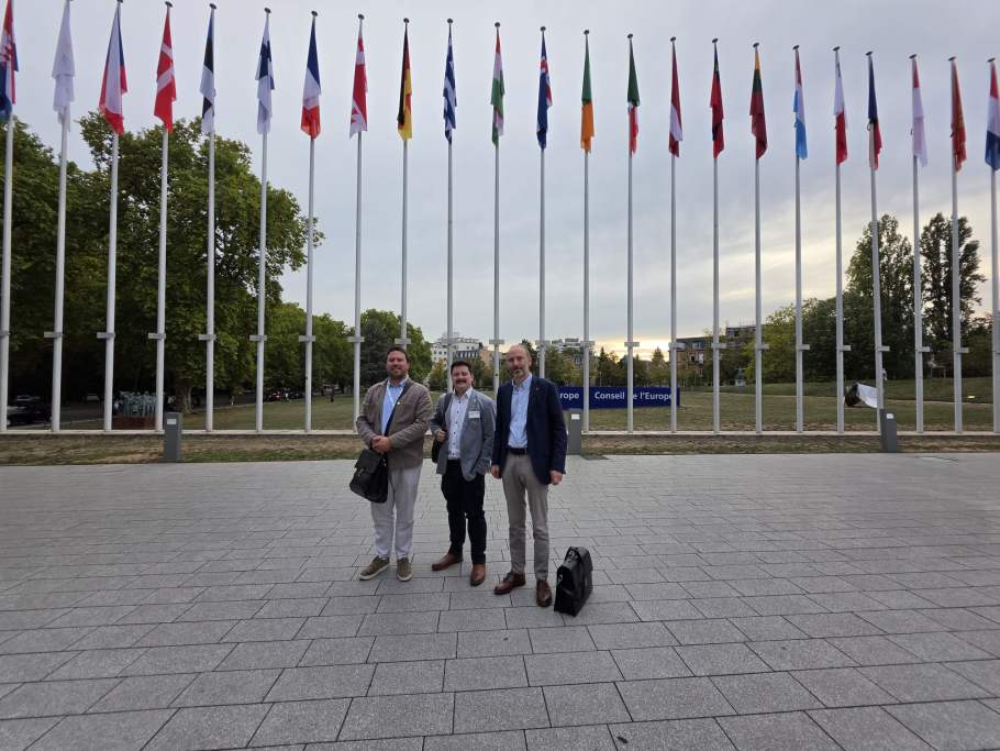 vvb-met-taalwerkgroep-naar-raad-van-europa-pace